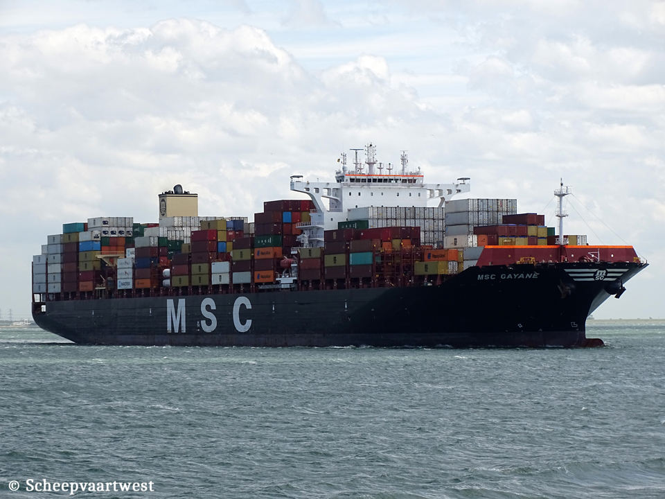 scheepvaartwest - MSC Gayanè - IMO 9770763